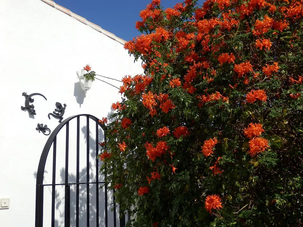Bed & Breakfast B&B Casa Agradable Arenas